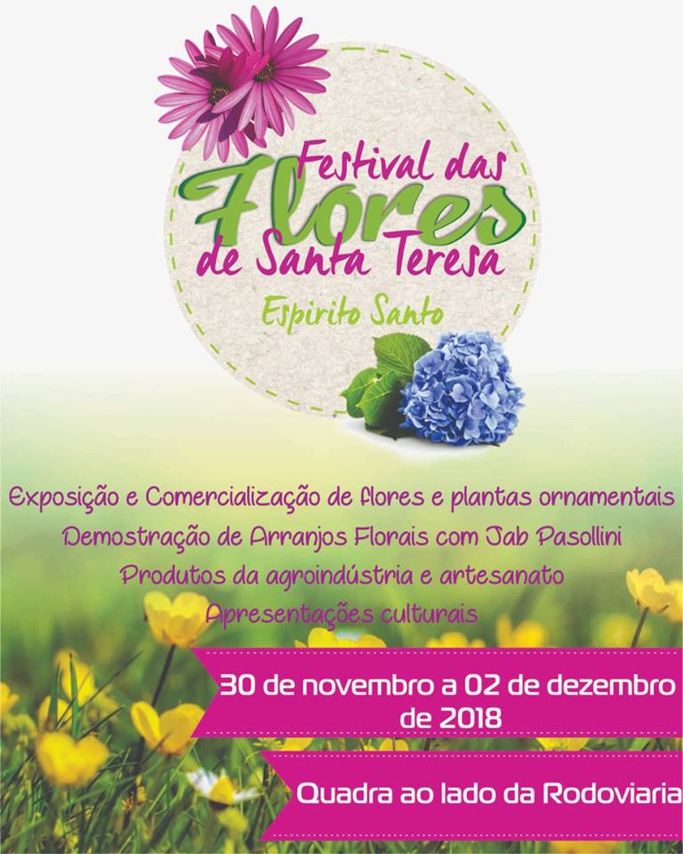 42901907_1982040881819364_8489601974122053632_n Festival das Flores em sua 4ª edição