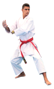 unnamed-copiar-184x300 Teresense leva ouro no kata