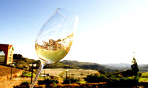 vinhos-portugal--300x180 Vinhos Portugueses: conheça suas uvas e regiões