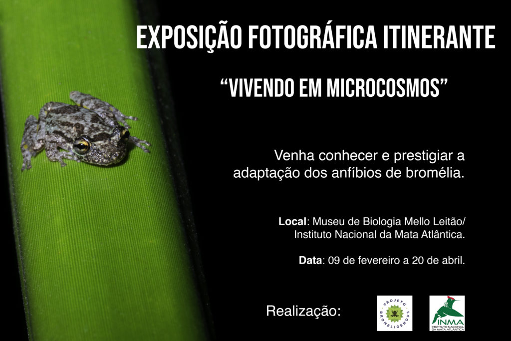 Cartaz-2-1-1024x683 Exposição sobre anfíbios em bromélias começou dia 09 no INMA / Museu