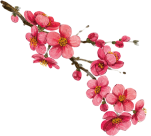 7a36279fa1e45651e05ae2034e7eb9ce-300x272 De Mãe