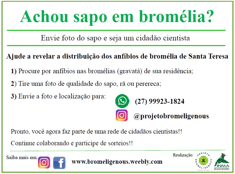 copia-2 Cidadãos cientistas ajudando na conservação dos anfíbios de bromélias de Santa Teresa