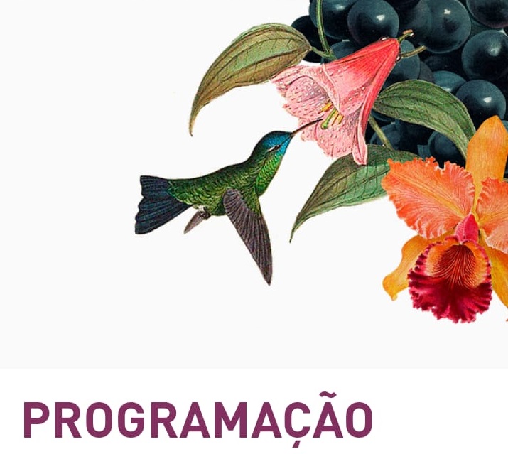 WhatsApp-Image-2020-07-11-at-18.39.23-1-1 Letícia Sabatella no Fecsta 2020, live dia 25