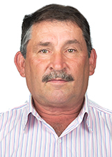 erich-marquardt-51555 Candidatos a vereadores por Santa Teresa pleito 2020