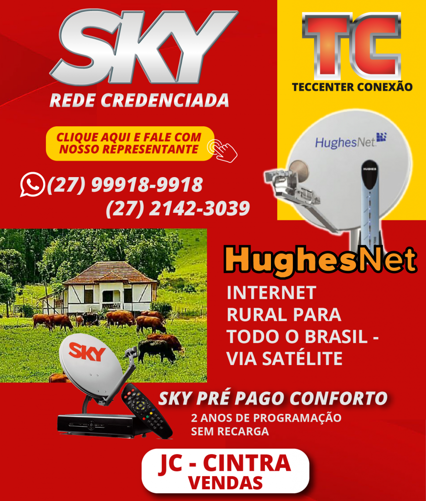 sKY-1-871x1024 Precisando de Organização no Trabalho?