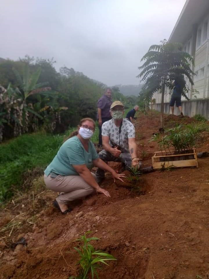 WhatsApp-Image-2020-09-30-at-22.08.48-2 Primavera arbórea de Nilton