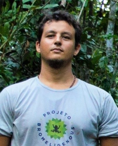 55-edited Momento Natureza - Ciência cidadã na preservação dos anfíbios de bromélia da Mata Atlântica