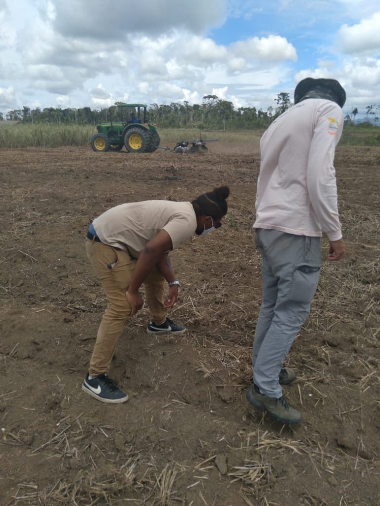 WhatsApp-Image-2021-02-13-at-20.08.59-768x1024 Guaranis devem reflorestar 100 hectares