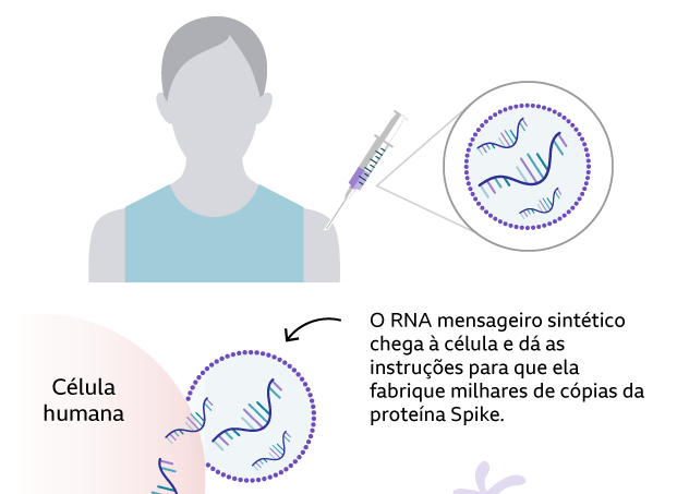 115658317_rna_process_vaccine-2-nc CONSEQUÊNCIAS DAS VACINAS RNA DO PONTO DE VISTA ENERGÉTICO