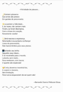 cb9044f9-f3ec-4041-b48f-a21adbf9691c-207x300 Divulgados os ganhadores do concurso Pestalozzi em traço e poesia
