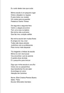 eeacc7a9-f044-470c-a6d3-1737a05ca501-205x300 Divulgados os ganhadores do concurso Pestalozzi em traço e poesia