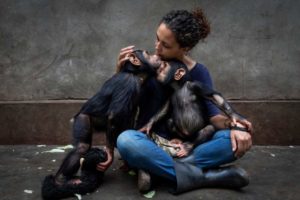 6720-300x200 Aranha brasileira é premiada em concurso do Museu de História Natural de Londres 