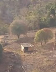 Casinha-Copia-233x300 Enquanto Invasores se confrontam na grilagem, o dono aparece e pede reintegração.