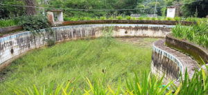 IMG_20220324_115700-300x138 Parque Temático Ecoturístico Augusto Ruschi, um escabroso escândalo