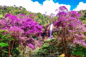 Cachoeira-do-Cowtry-300x200 O sinal da quaresmeira