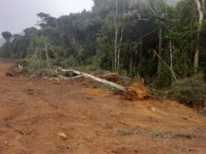 WhatsApp-Image-2023-06-27-at-13.26.16-1-300x225 Desmatamento em Santa Teresa teve permissão do Idaf