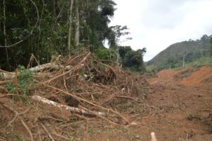 7c160188-ceef-46a0-b1d7-0f06e47439ba-300x199 A Câmara de Vereadores de Santa Teresa e o MP se reúnem para apurar os responsáveis pelo desmatamento na Penha.
