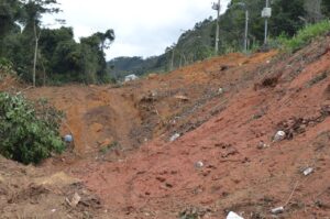 be130180-3289-4b1d-b311-35b0b627bd26-300x199 Terreno de crime ambiental na Penha não têm licença para vender lotes parcelados