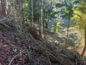 ae2f0d24-0cb9-46c9-a2bd-ace51a67c15a-300x225 Dano ambiental em APP no Alto São Lourenço