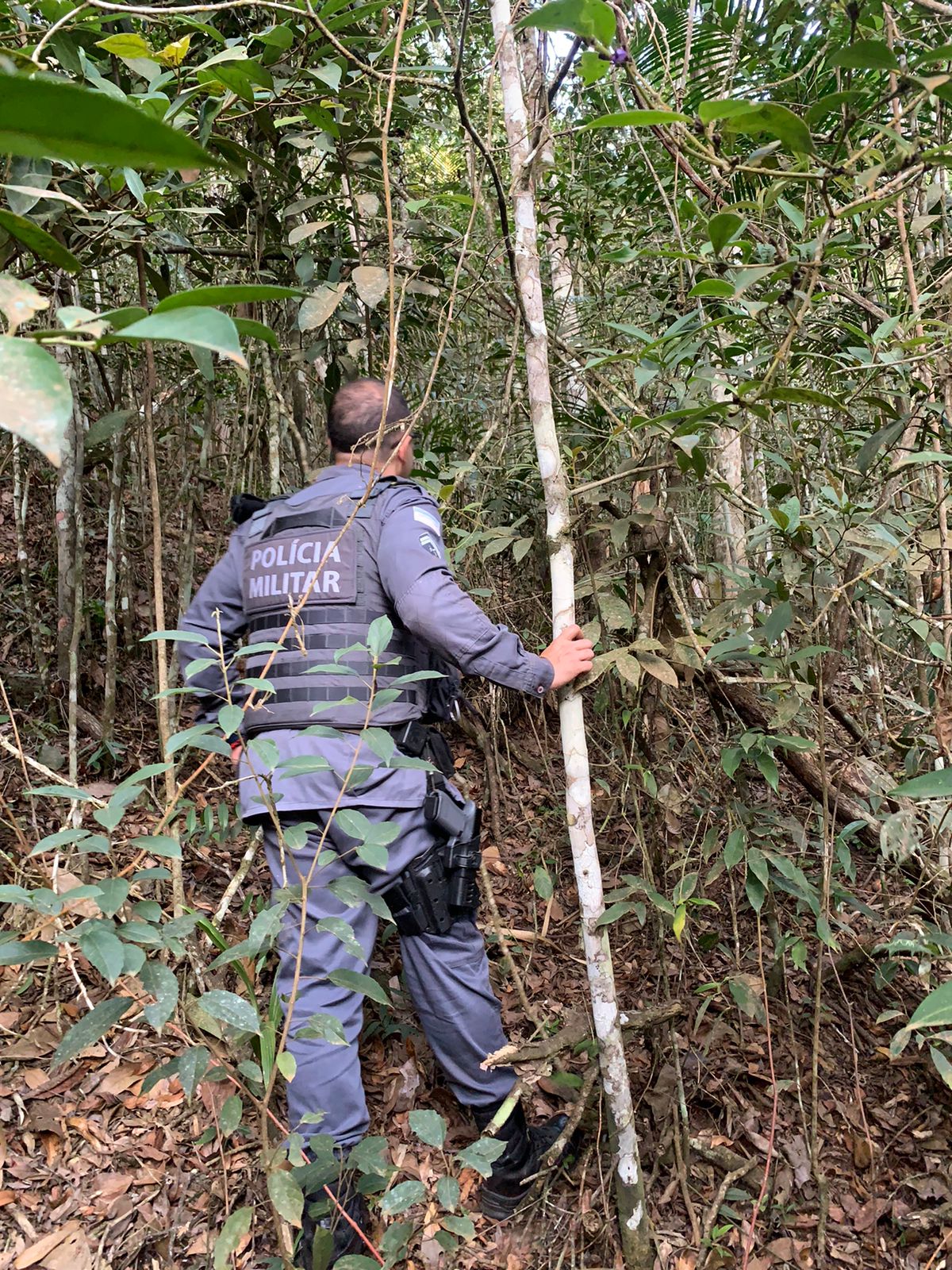 0d2a45c3-b2ce-4207-9aa9-3ddeafa8de59 Polícia prende suspeitos de tráfico de animais em Santa Teresa.