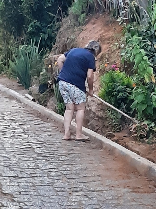 1ac87398-95c9-4b9f-8f8f-6208dc33772f OBRAS DE ASFALTAMENTO EM SANTA TERESA PRETENDE DESTRUIR BELEZA NATURAL DA RUA SÃO PEDRO E ACABAR COM OS CUIDADOS DE MAIS DE ANOS DOS MORADORES.