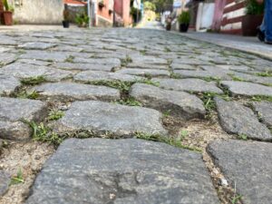 1f068f0a-6a76-4958-894b-ed4371050642-300x225 Câmara realiza Audiência Pública para a regulamentação da Rua do Lazer