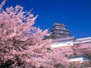 Awebic-Escolas-Japonesas-2-300x224 10 fatos sobre a educação japonesa para inspirar as escolas brasileiras