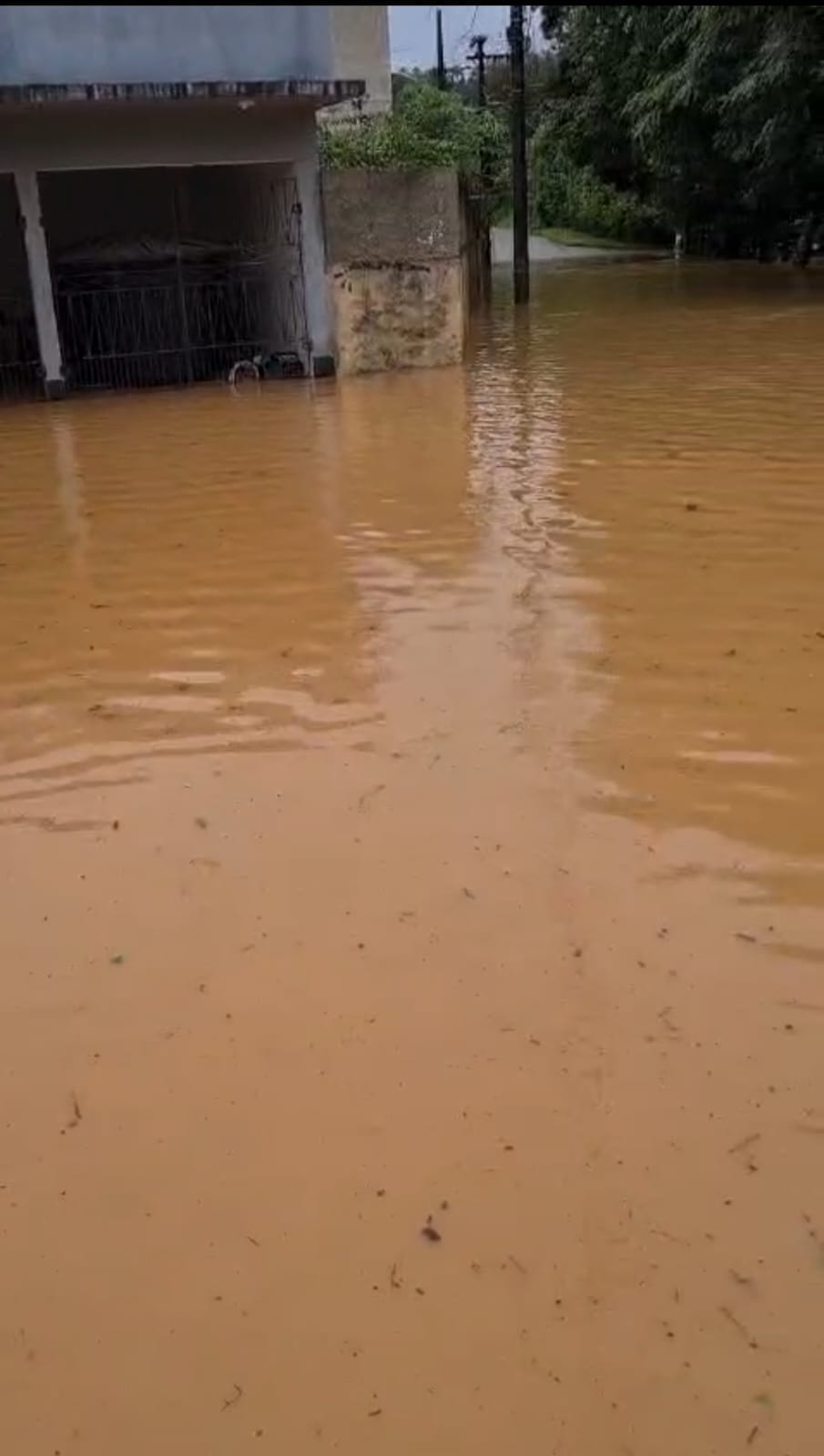 0c847155-afa2-4be5-9499-3eb444bcc5bd Novos Alertas de acumulados de chuva para Santa Teresa e região