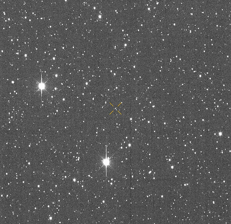 asteroide Asteroide 2024 YR4 poderá atingir regiões populosas do mundo segundo a NASA