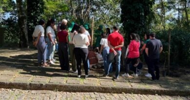Parque da Fonte Grande ganha Educação ambiental com plantio de ipês