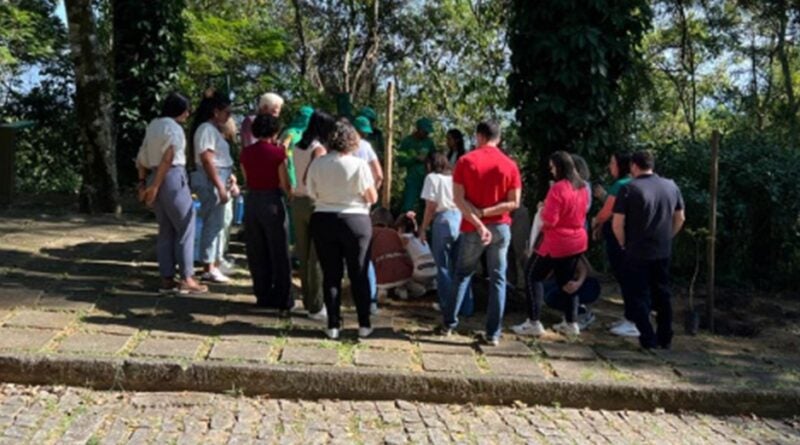 Parque da Fonte Grande ganha Educação ambiental com plantio de ipês