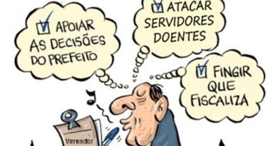 Comentários sobre  29ª Sessão da CMST