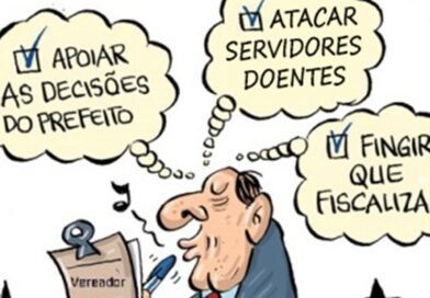 Comentários sobre  29ª Sessão da CMST