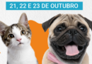 Castração gratuita em Santa Teresa 400 vagas, confira
