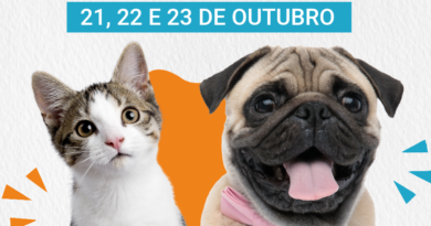 Castração gratuita em Santa Teresa 400 vagas, confira