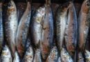 Conheça o valor da sardinha para a saúde